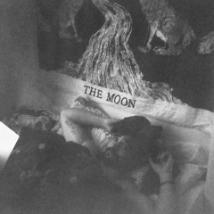 Cruise Control w/ Jnr Smooth - April 2021