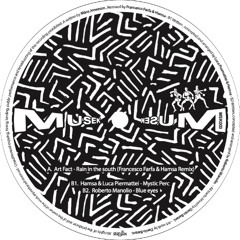 Art Fact - Rain In The South (Francesco Farfa + Hamsa Remix)[MUSEK03]