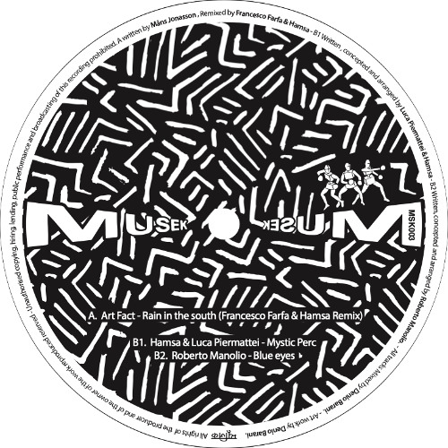 Art Fact - Rain In The South (Francesco Farfa + Hamsa Remix)[MUSEK03]