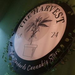 the harvest cannabis store prime 5min .mp3