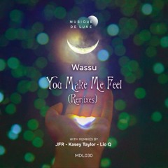 Wassu - You Make Me Feel