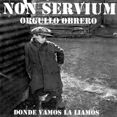 Non Servium
