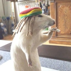 Talk  wth zelva (prod cr1sis)