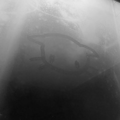 nakuyo -separation (nakuyo& shyness) #XoXo