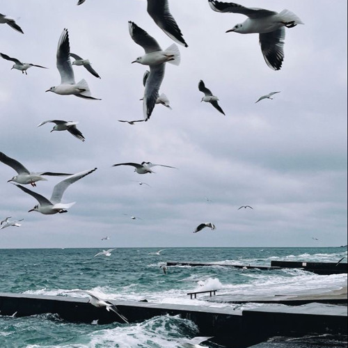 ТМП - Завтра