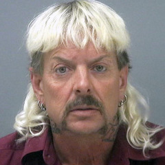 Back Balling - OsoVanGo (TEEMIX)