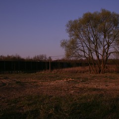 Rowy - Social Isolation