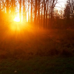 Another Ambient ChillMix Collection