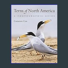 Audiobook Terns of North America: A Photographic Guide     Paperback – October 24, 2023 FILE