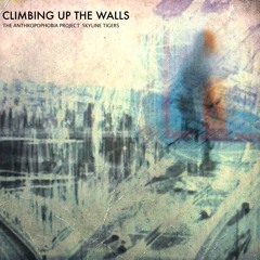 Climbing Up The Walls - Radiohead Cover (Skyline Tigers & The Anthropophobia Project)