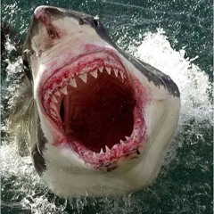 Jacboe - Jaws (Great White Shark) (Halloween Classics)