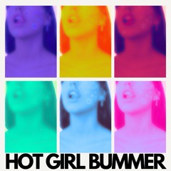 Hot Girl Bummer flip