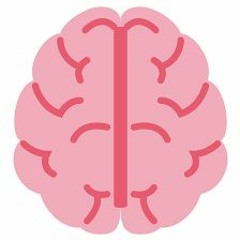 Brain Flip