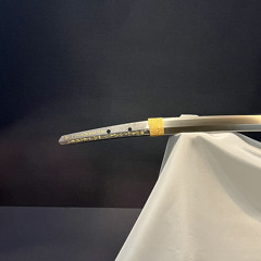 James Mahoney - KYOTO