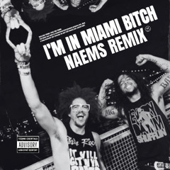 I'm In Miami Bitch (NAEMS Remix)