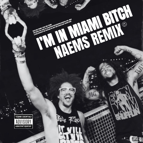 I'm In Miami Bitch (NAEMS Remix)