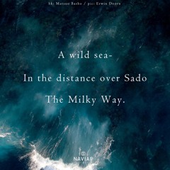 halF wilD [naviarhaiku333]