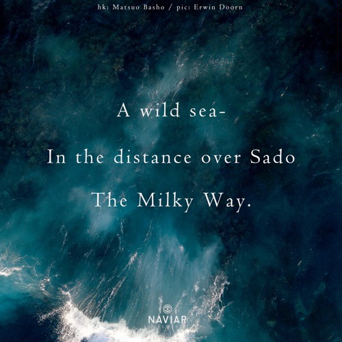 halF wilD [naviarhaiku333]