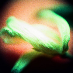 Will August Park Live at Light & Sound Design 9/10/25