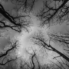 HARD TECHNO - 160BPM