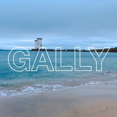 RB018 w/ Gally