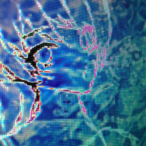 Catpass (Instrumental)