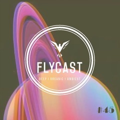 Flycast #45