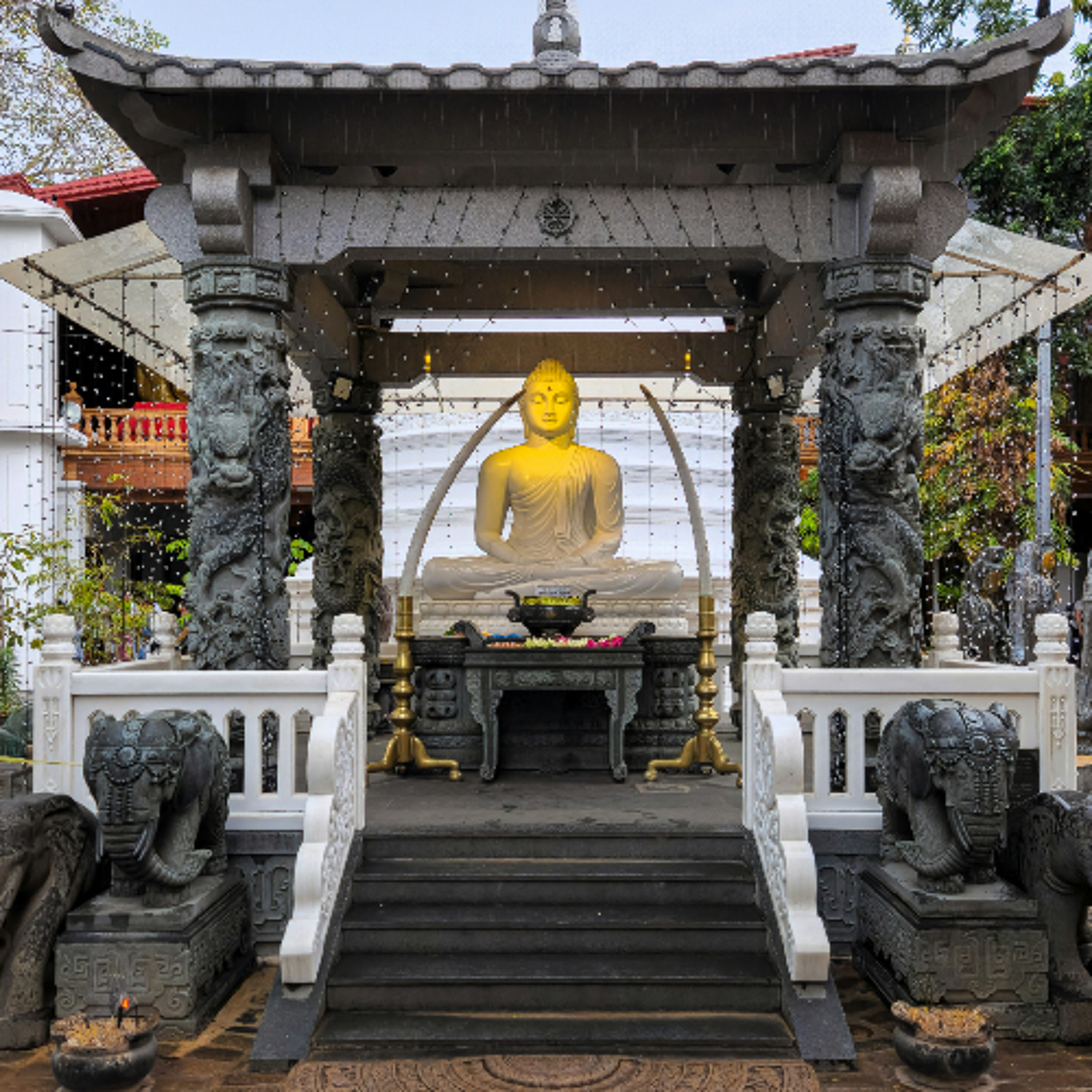 Associazione Kalyanamitta: Meditazione, Mindfulness, Buddhismo