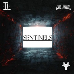INTERLINK & COLLISION - Sentinels