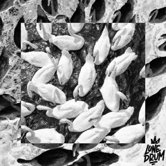 nawS [PREVIEW MIX]