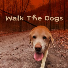 Walk The Dogs