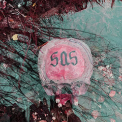 SAS (without features)