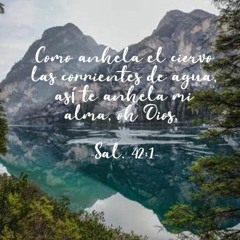 Tu eres Dios - Basado en Salmos 63 y 42