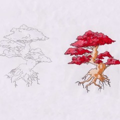 T2
