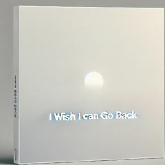I wish i could go back - 12_6_25, 11.07 PM