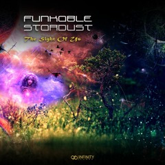 Funkable & Stardust - The Sight Of Us
