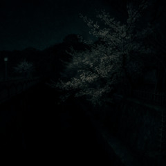 Vestige