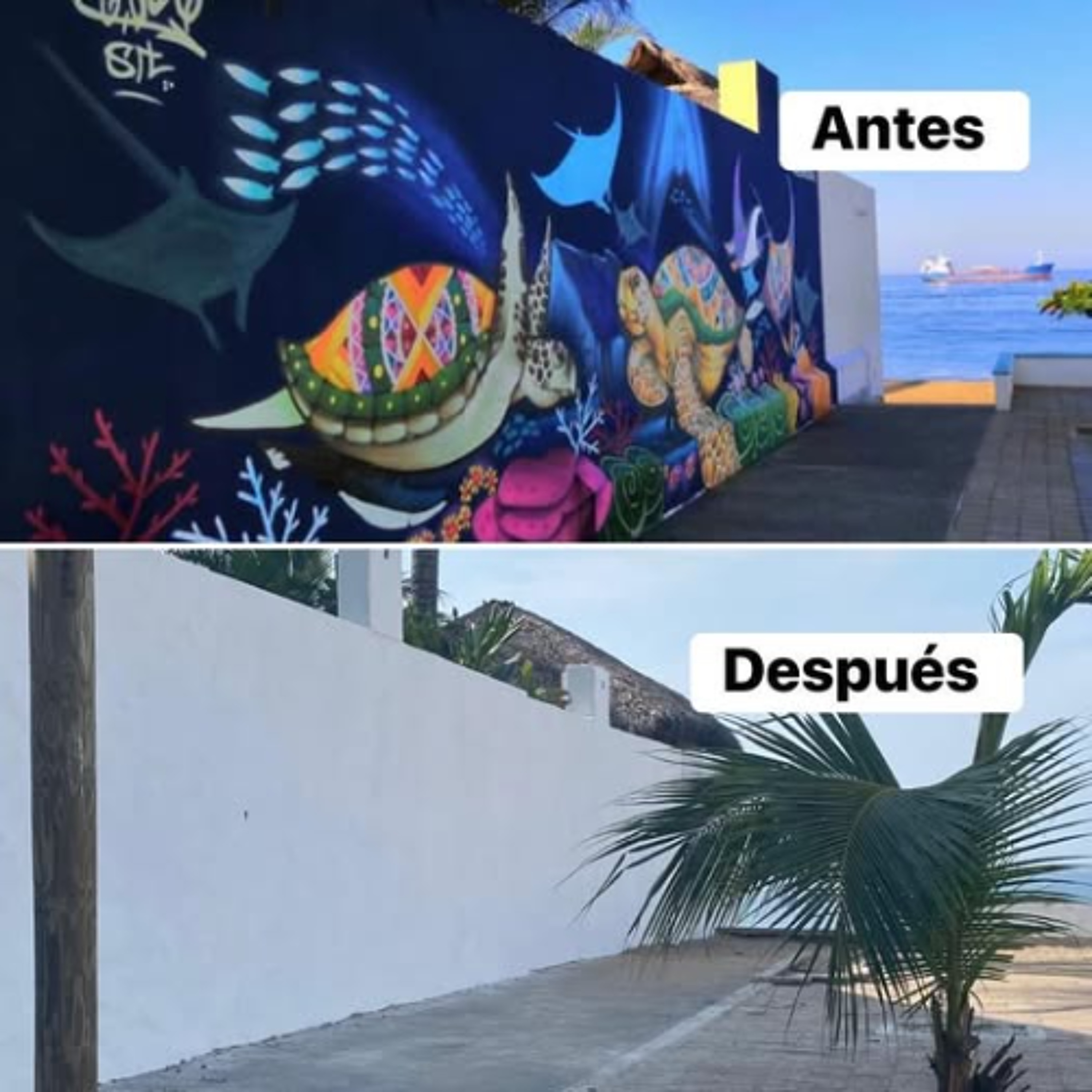 Nadie responde sobre el borrado de murales de graffiti en Manzanillo; el artista Ferek Aggro pide no dañarlos episode artwork