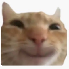 Yêu Gơn Hải Phòng❤️‍🔥🫶🏻 (GirlHaNoiOpenVerse)-@icykrave