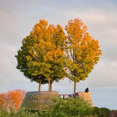 DIEGÖ | for the Winter Arc | 01.11.2025