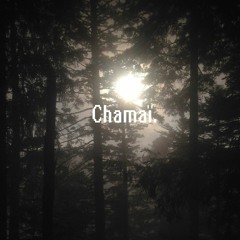 Chamaï. -Ce Soir C'Est Teuf