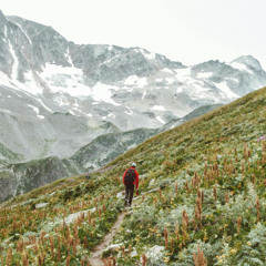 ghost&hollow & Organ Mountain - Maranatha (Wilderness)