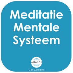 Meditatie Mentale Systeem