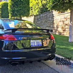 TTRS ft Stillmetalpain (sxblime x londonthrasher )