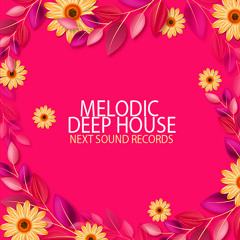 Melodic Deep House (Mastering Mix)