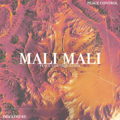 Disclosure - Douha (Mali Mali) - Peace Control Remix