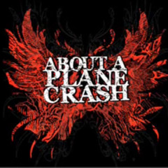 About A Plane Crash /we operate the deceased