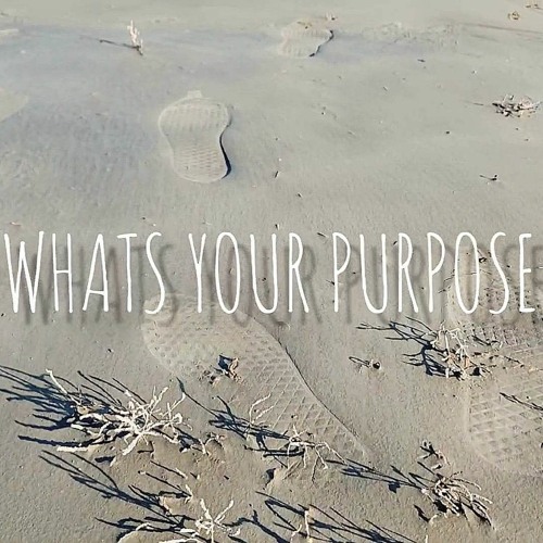 What's Your Purpose? (Feat. Ir1)