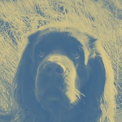 Calvin Harris - Blame (Ft. John Newman) [Rino Remix]