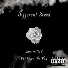 Landon XIV - Different Breed (ft. Brax the Kid)